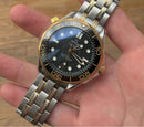 Omega seamaster